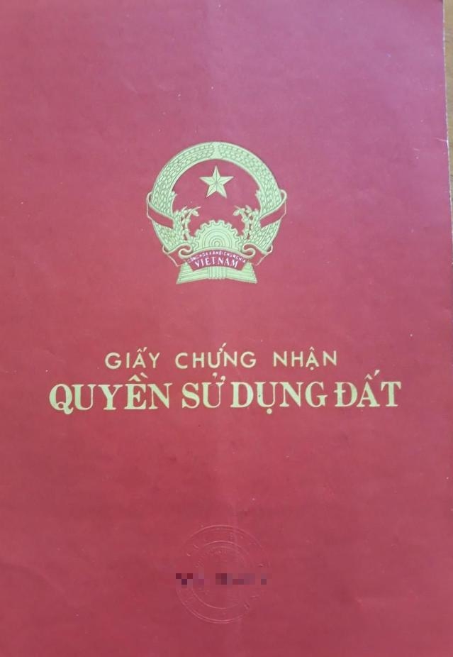 Mua Bán Đất nền Đường Lê Đình Chinh 1.5m2 Giá 4,13999999999 tỷ VND