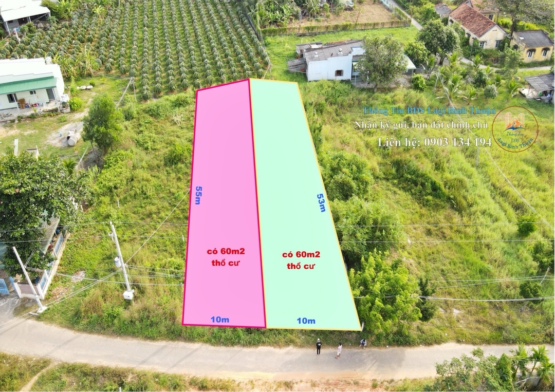 Mua Bán Đất nền Huyện Hàm Thuận Nam 550m2 Giá 1,7 tỷ VND