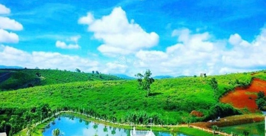 View dự án