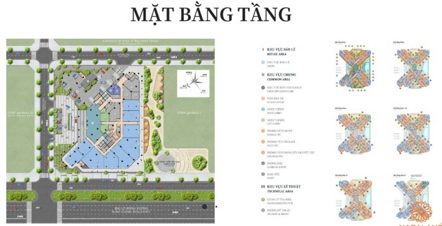 Mặt bằng tầng