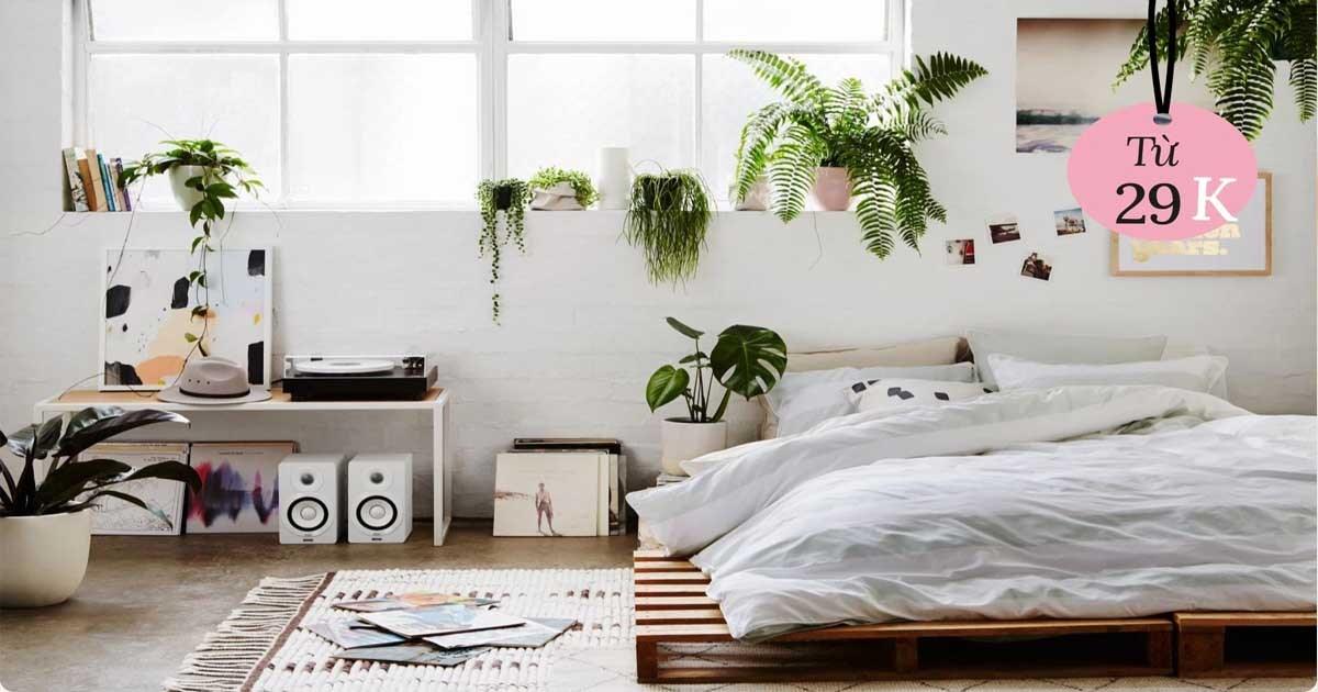 5 cách trang trí giúp phòng ngủ mùa hè mát hơn lại đẹp lạc lối, chi phí chỉ từ 29K
