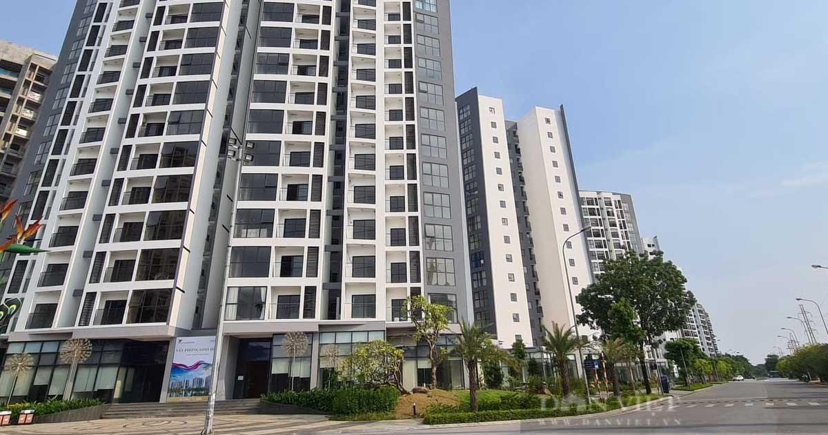 Đầu tư đất ở quê, sau 3 năm chàng trai 9X mua căn hộ hơn 2 tỷ đồng ở Hà Nội