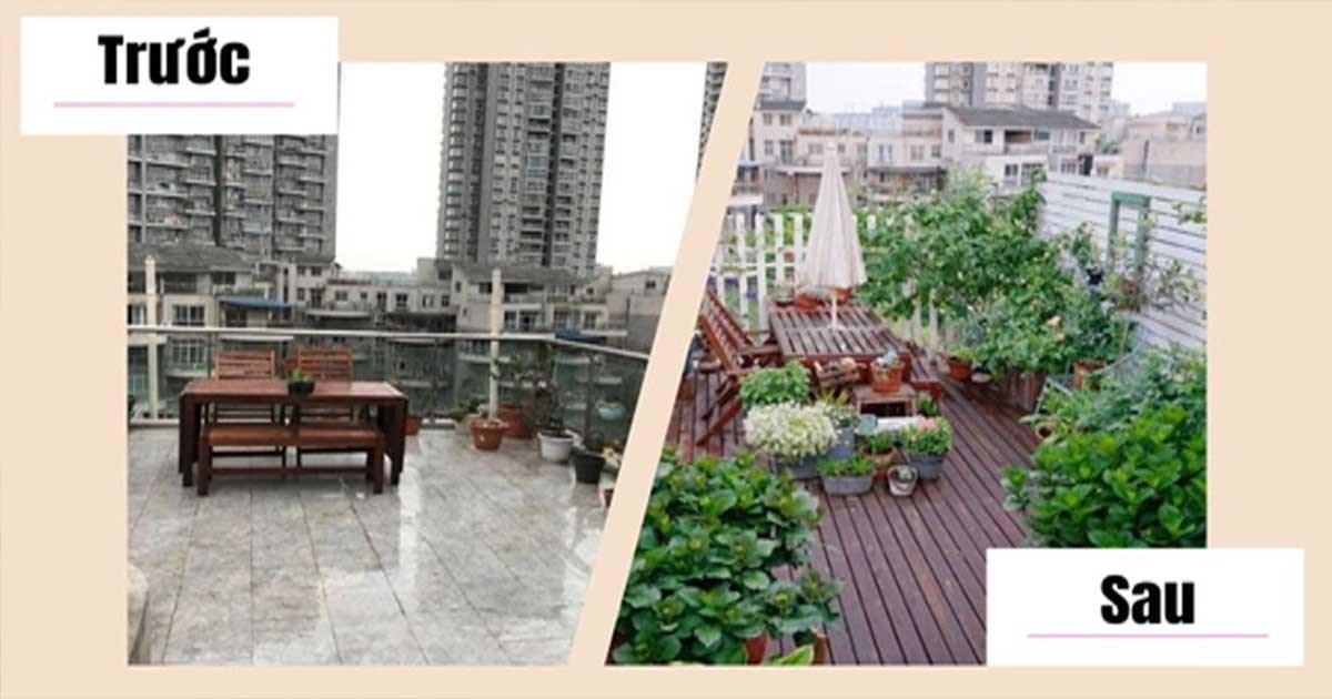 Cặp vợ chồng trẻ quyết mua nhà có sân thượng để làm vườn rau nhưng sau 4 năm lại biến thành khu vườn hoa rực rỡ sắc màu