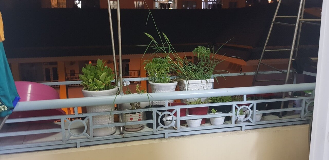 Mua Bán Căn hộ 3PN Chung cư Đào Duy Từ 100m2 C.xx.06 Giá 4,2 tỷ VND