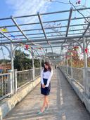 Nguyễn Vũ Nhật Linh