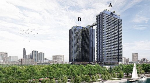 Sunshine Horizon Sunshine Horizon