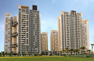 The Estella The Estella